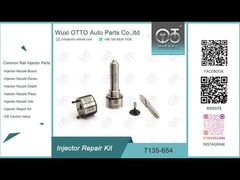 7135-654 طقم إصلاح حاقن دلفي R00501Z مع فوهة L456PRD