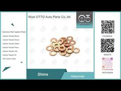 100 قطعة حاقن قضيبي مشترك الرقائق F00RJ01453 النحاس غسالة F 00R J01 453