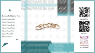 صنعت الصين الجديدة حاقن السكك الحديدية المشتركة شيم F00VC04049