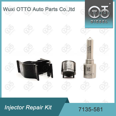 مجموعة إصلاح المحقن ديلفي 7135-581 لـ R00101D PSA FORD DW10C