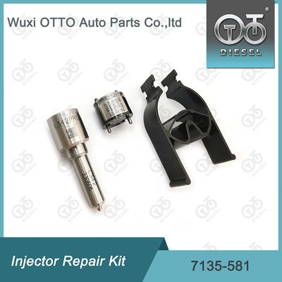 مجموعة إصلاح المحقن ديلفي 7135-581 لـ R00101D PSA FORD DW10C