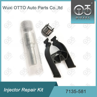 مجموعة إصلاح المحقن ديلفي 7135-581 لـ R00101D PSA FORD DW10C