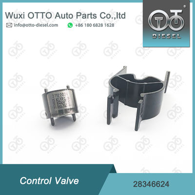 28346624 صمام حاقن السكك الحديدية المشتركة دلفي للحاقنات R00301D 28236381