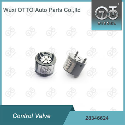 28346624 صمام حاقن السكك الحديدية المشتركة دلفي للحاقنات R00301D 28236381