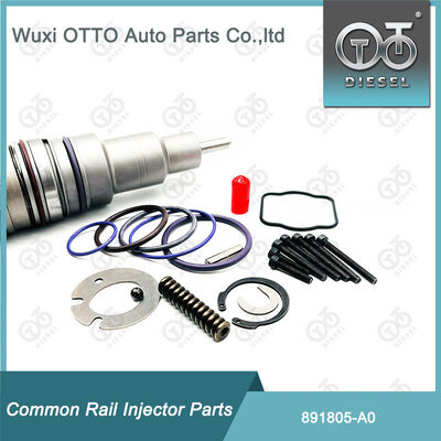 891805-A0 Fuel Injector Repair Kits 891804-M11 for Delphi A0 Series Injector