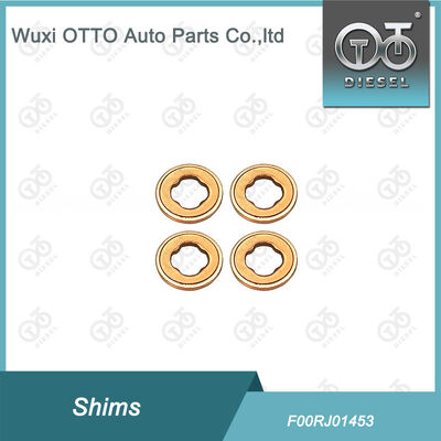 100 قطعة حاقن قضيبي مشترك الرقائق F00RJ01453 النحاس غسالة F 00R J01 453